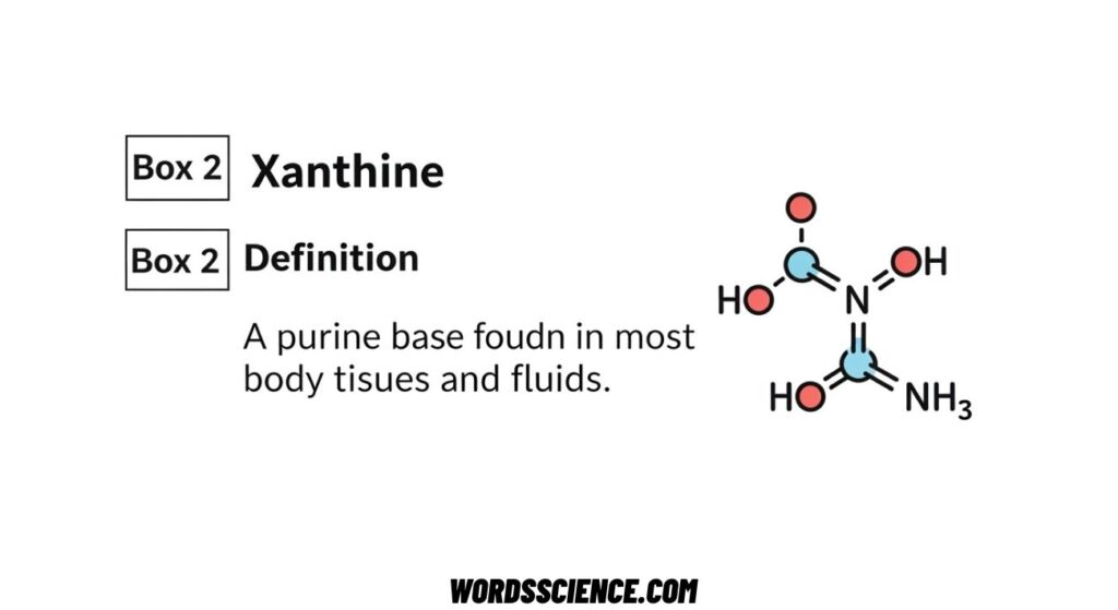 Science Words That Start With X